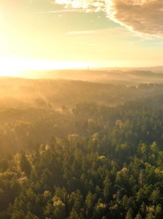 Aerial view forest with fog at sunrise Black Forest, Calw, Germany