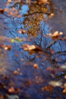 Late autumn, November, Germany