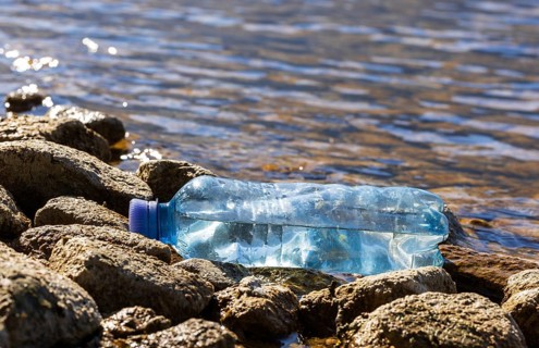Environmental pollution, Plastic bottle washed up on the lake shore, Household waste, Austria