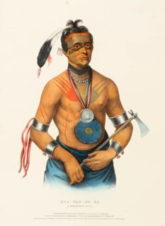 Hoo-Wan-Ne-Ka, A Winnebago Chief (1844), Native American, Historical Native American tribes from