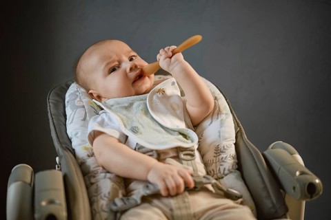 A baby sits in a high chair with a bib on and holds a wooden spoon. The baby is focused on the