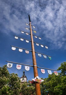 Maypole with coat of arms, church tower, Protestant City Church, Old Town, Bad Cannstatt,