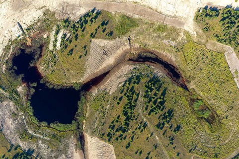 2020, Böckh-See, Brandenburg, Germany, Mainzer Land, Nabu, Nabu Project, national natural heritage,