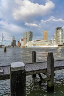 Rotterdam, skyline at the Nieuwe Maas, Erasmus Bridge, skyscrapers at the Kop van Zuid district,
