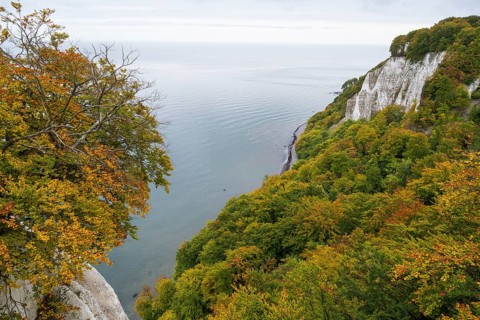 View of chalk cliffs and Baltic Sea, trees with autumn leaves, Jasmund National Park, Sassnitz,