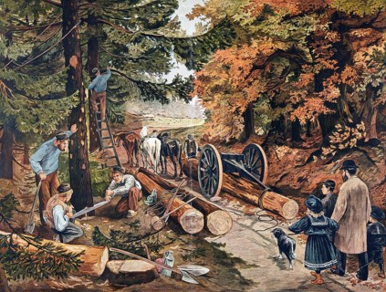 Forest work and timber harvesting in the 19th century, forest workers cutting trees with axes and