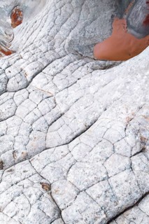 A vivid close-up of abstract white rocks featuring intricate textures and geometric patterns