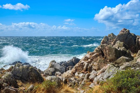 Picturesque coastal scenery with a view of the sea on the Kullen Peninsula (Kullaberg) in Scania,