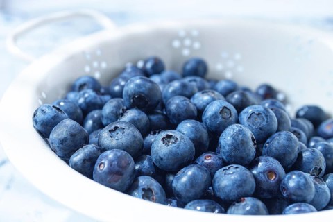 A colander holds a large amount of fresh blueberries. The blueberries are dark blue and round,