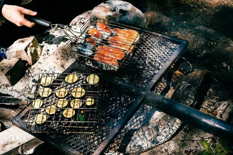 Cooking food on the grill during a picnic in the woods. Salmon steaks and sliced zucchini are