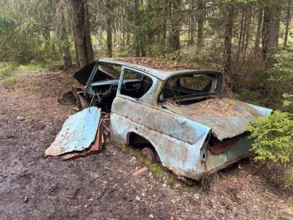 Rusted old car in thick forest surrounded by moss and leaves, Ryd, Kyrkö Mosse car cemetery,
