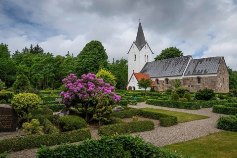 Well-kept cemetery with low hedges and purple rhododendron bush, side view of an old Romanesque
