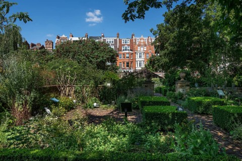 Victorian townhouses on Royal Hospital Road, in front of that beds and gardens Chelsea Physic