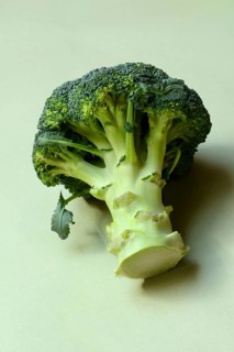 Broccoli on green background, broccoli