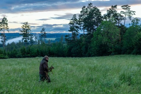 Hunter carrying fawn (Capreolus capreolus) from the meadow into the forest, fawn rescue, dawn, fog,