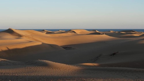 Sunny evening light casts shadows on a vast dune landscape in front of the sea, dunes of
