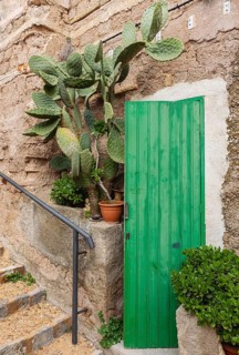 Green wooden door at the staircase, Alcudia, Majorca, Spain