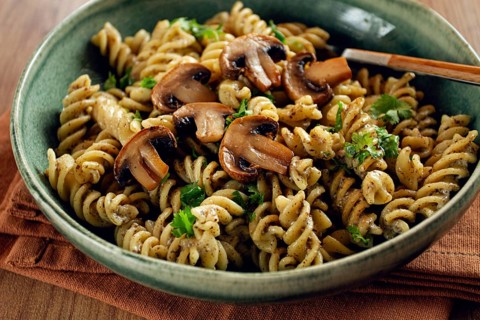 Fusilli pasta, in creamy mushroom sauce, pasta with mushrooms, homemade, no people