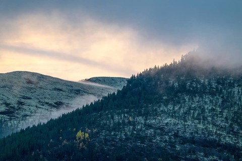 Evening fog in the mountains, Alvdal Vestfjell, Hedmark, Innlandet, Norway, October 2025