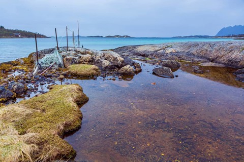 Landscape near Straumsnes on the island of Senja in Norway
