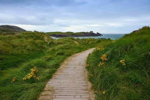 A narrow wooden walkway leads through green dune landscape with a view of the sea under a cloudy