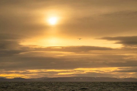 Snow, sun, sea at Boltodden, Spitsbergen, Svalbard, Norway
