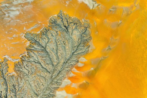 A stunning abstract fractal mud texture, showcasing detailed patterns in vibrant earthy colors. The