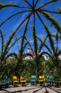 Weidendom in the spa gardens, Schärding, Innviertel, Upper Austria, Austria