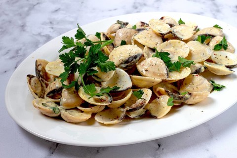 Vongole clams, in cream sauce, on a white plate, homemade, top view, no people