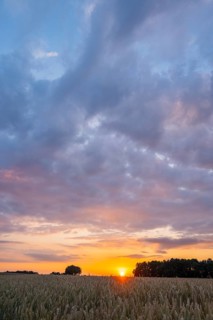 Romantic sunset over fields and meadows with colorful clouds in early summer, Upper Palatinate,