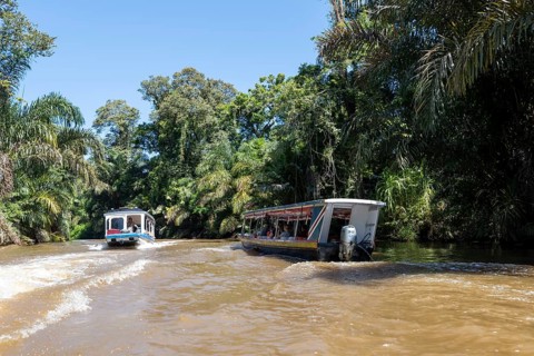 Two boats with tourists, Rio Suerte river in the rainforest, dense vegetation, Tortuguero National