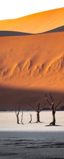 Red sand dunes and white salt pan with dead trees, Dead Vlei, Namib Desert, Namib Naukluft Park,