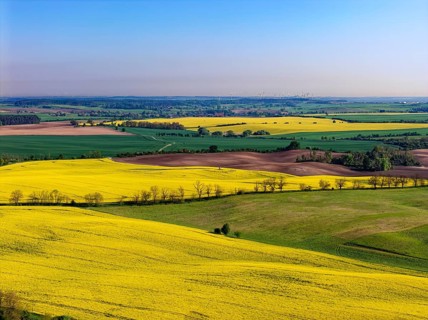 Blooming rapeseed fields in spring in the Uckermark. aerial view. Stützkow, Schwedt, Brandenburg,