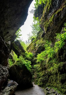Narrow gorge overgrown with moss, Devil's Cave Pottenstein, Franconian Switzerland, Franconia,