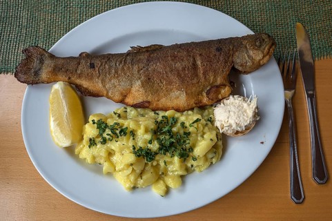 Baked trout (Salmo trutta) with potato salad and horseradish, served in a pub, Franconia, Bavaria,