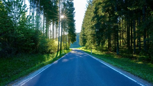 A straight road through a forest with tall trees, illuminated by the setting sun, pelts,