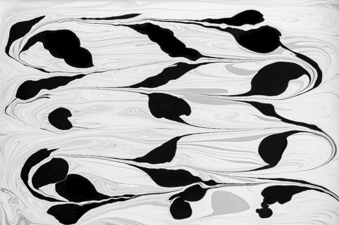 Monochromatic abstract image featuring fluid black and white acrylic paint floral patterns. The