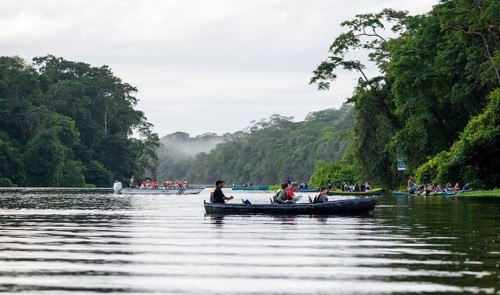 Tourists explore the river in the rainforest by boat, dense vegetation, Tortuguero National Park,