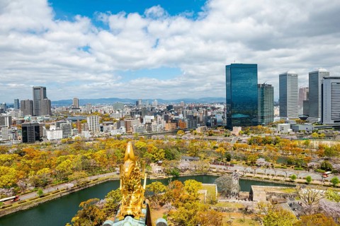 City view with skyscrapers and Osaka Castle Park with cherry blossoms, view from Osaka Castle with