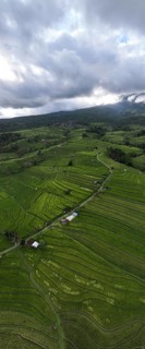 Aerial view panorama of Tegallalang rice terraces, Bali, Indonesia