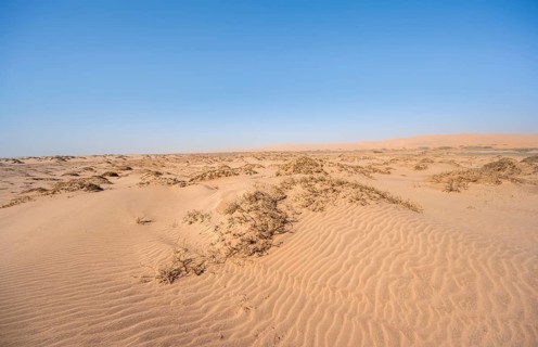 Small sand dunes, Namib Desert, Sandwich Harbour, Namib Naukluft Park, Namib Desert, Namibia