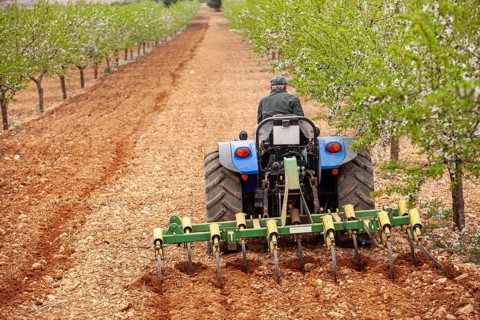 This farmer drags the tractor to remove weed from the ground to avoid them from taking the water,