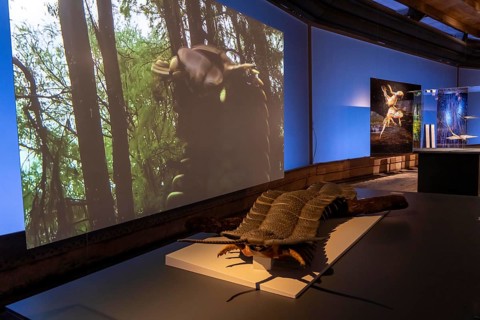 New exhibition at Gasometer Oberhausen, Mythos Wald, on 3 levels and with several thematic