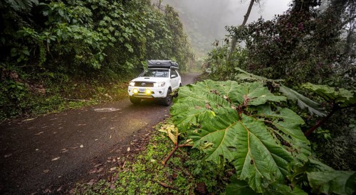 Off-road vehicle in the fog during rain, with fog lights on a narrow road, dense vegetation with