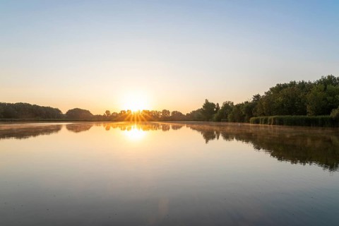 Sunrise at a pond, trees, sun star, Thuringia, Germany
