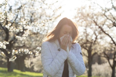 Woman sneezing into a tissue in a blooming orchard during spring. Pollen allergy or hay fever