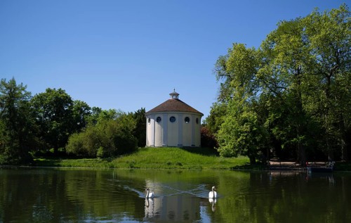 Two swans (Cygnus) swimming in front of the synagogue, Wörlitz Park, Wörlitz Gardens, Wörlitz,