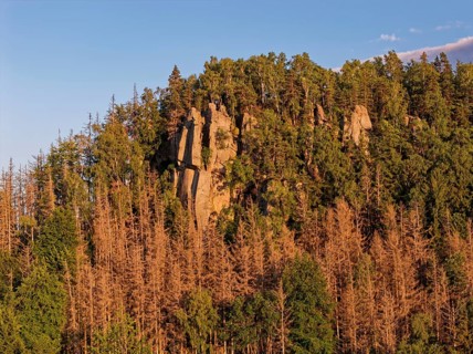 High rock formation in the evening light in the Heuscheuergebirge National Park. The