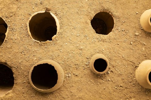 Clay wine vessels embedded in earth beneath wooden shelter at Armaziskhevi site, part of an ancient