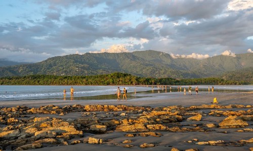 Sandy beach beach with palm trees by the sea, with reflection, Punta Uvita, Tropical rainforest,